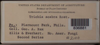 Image Associated With the Occurence